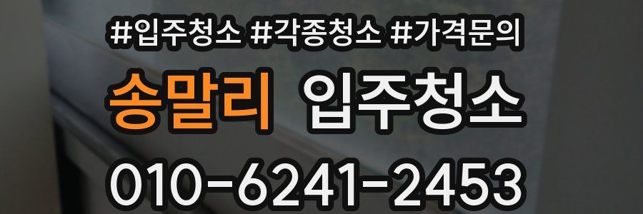 송말리 이사청소