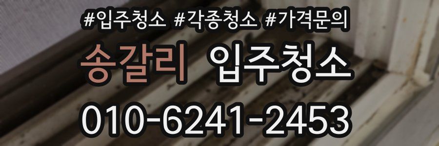 송갈리 이사청소