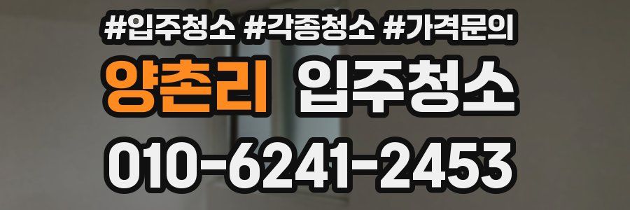 양촌리 이사청소