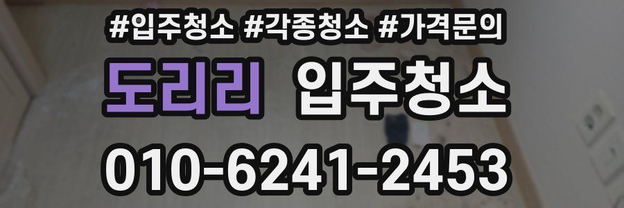 도리리 이사청소