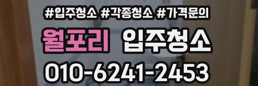 월포리 이사청소