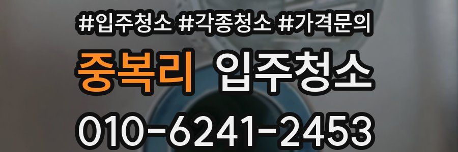 중복리 이사청소