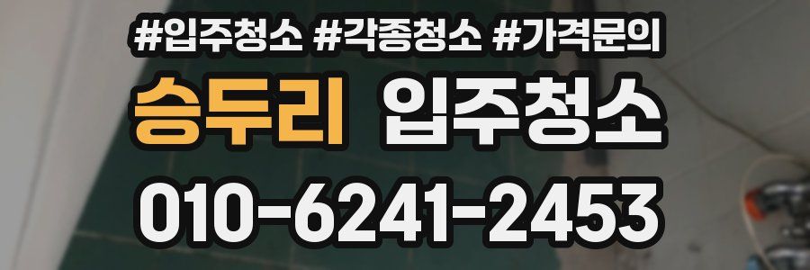 승두리 이사청소