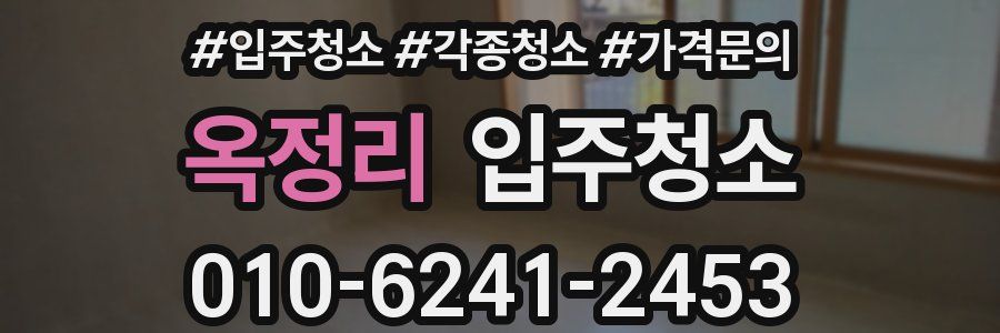 옥정리 이사청소