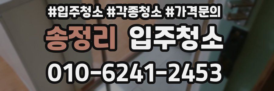 송정리 이사청소