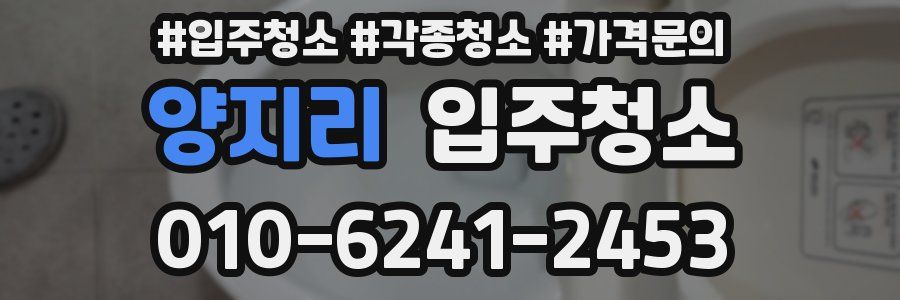 양지리 이사청소