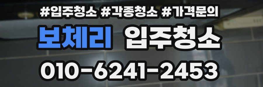 보체리 이사청소