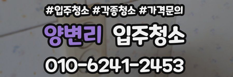 양변리 이사청소