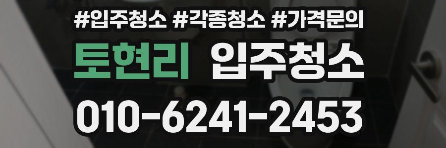 토현리 이사청소