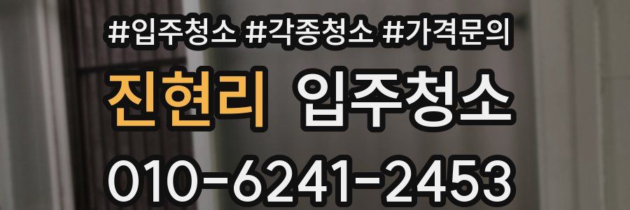 진현리 이사청소