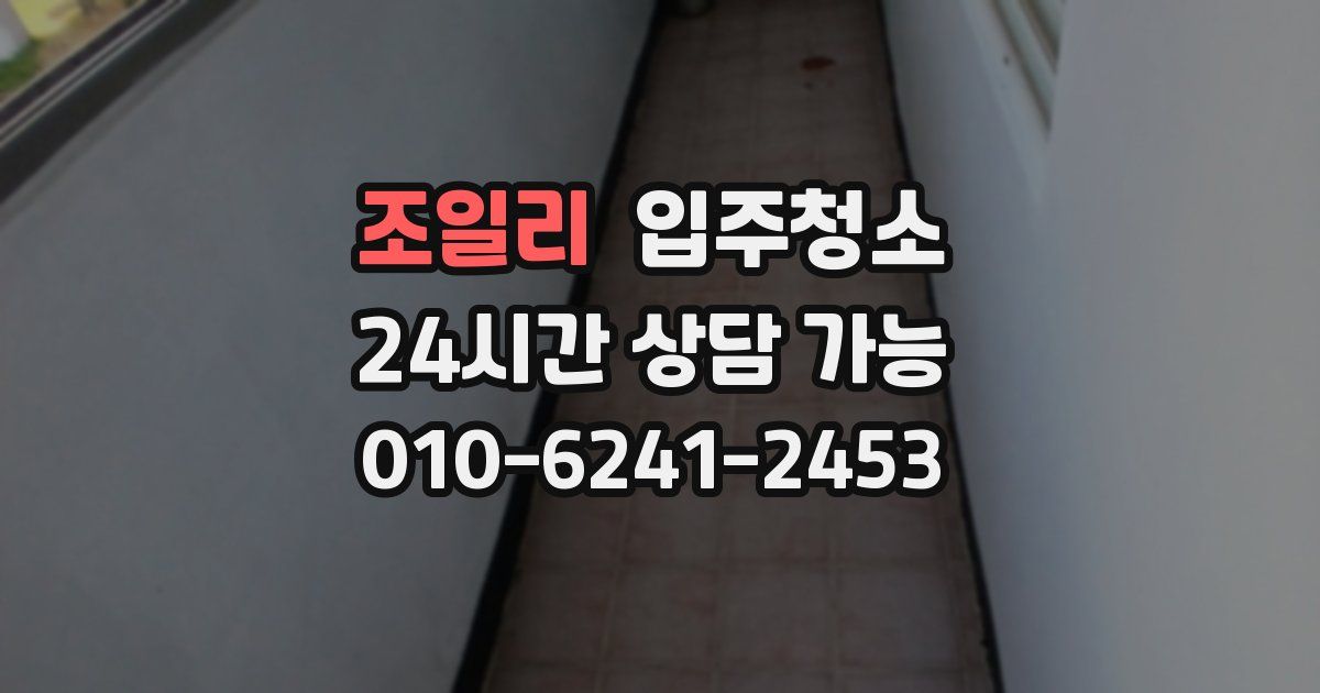 조일리 입주청소