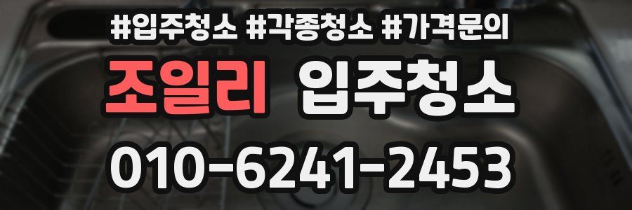 조일리 이사청소