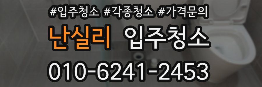 난실리 이사청소