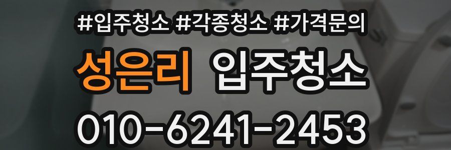 성은리 이사청소