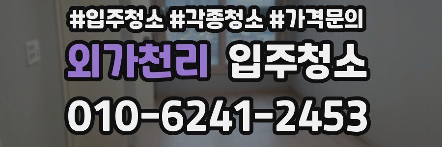 외가천리 이사청소