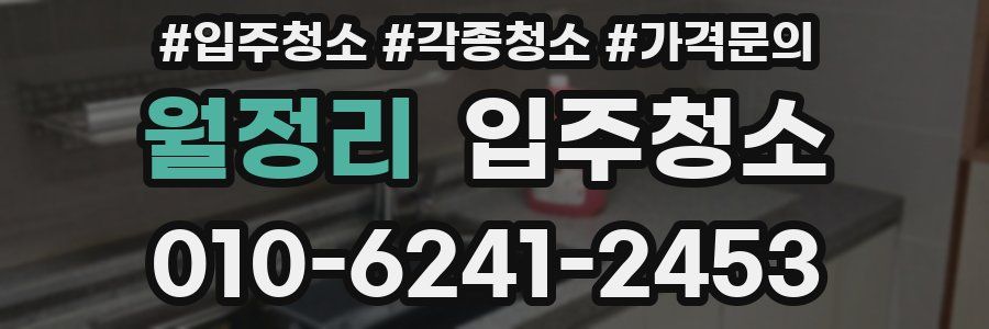 월정리 이사청소