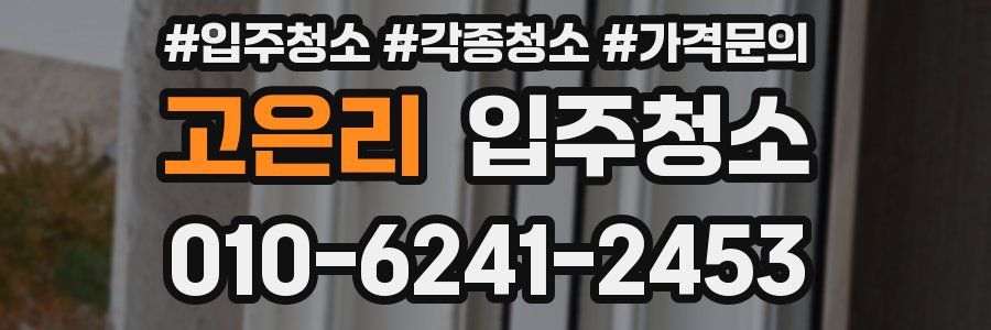 고은리 이사청소