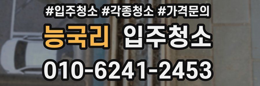 능국리 이사청소