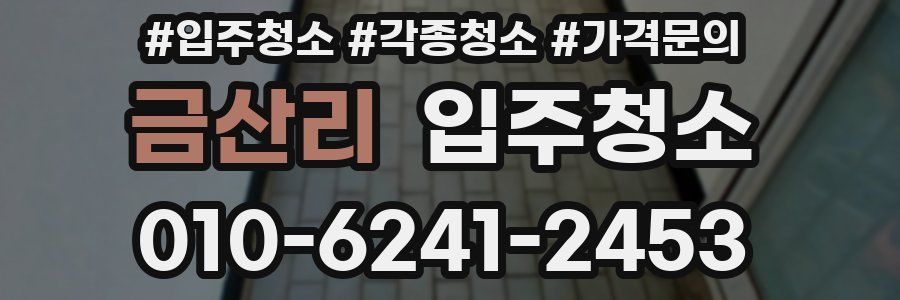 금산리 이사청소