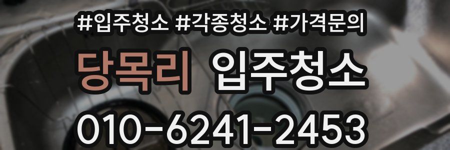 당목리 이사청소