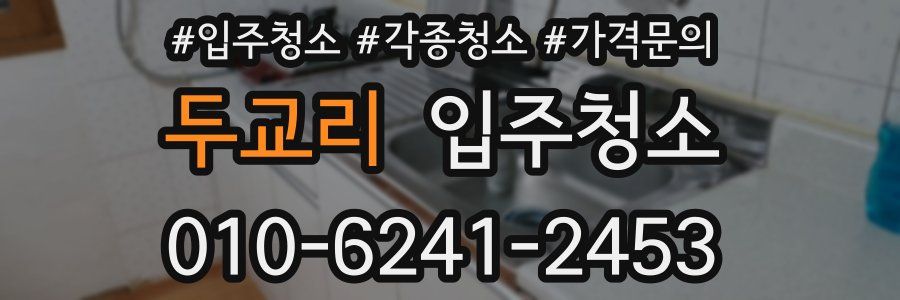 두교리 이사청소