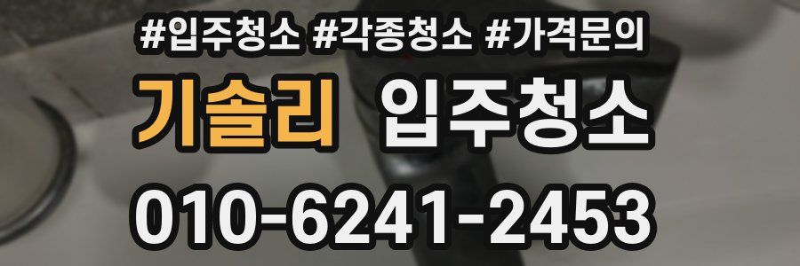 기솔리 이사청소