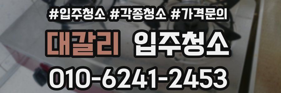 대갈리 이사청소