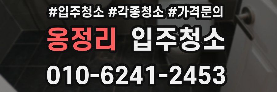 옹정리 이사청소