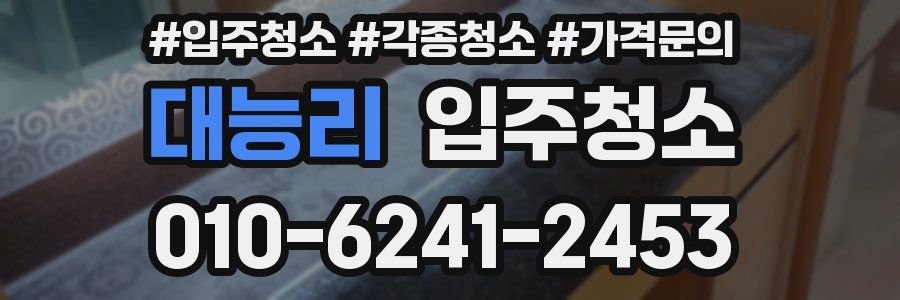 대능리 이사청소