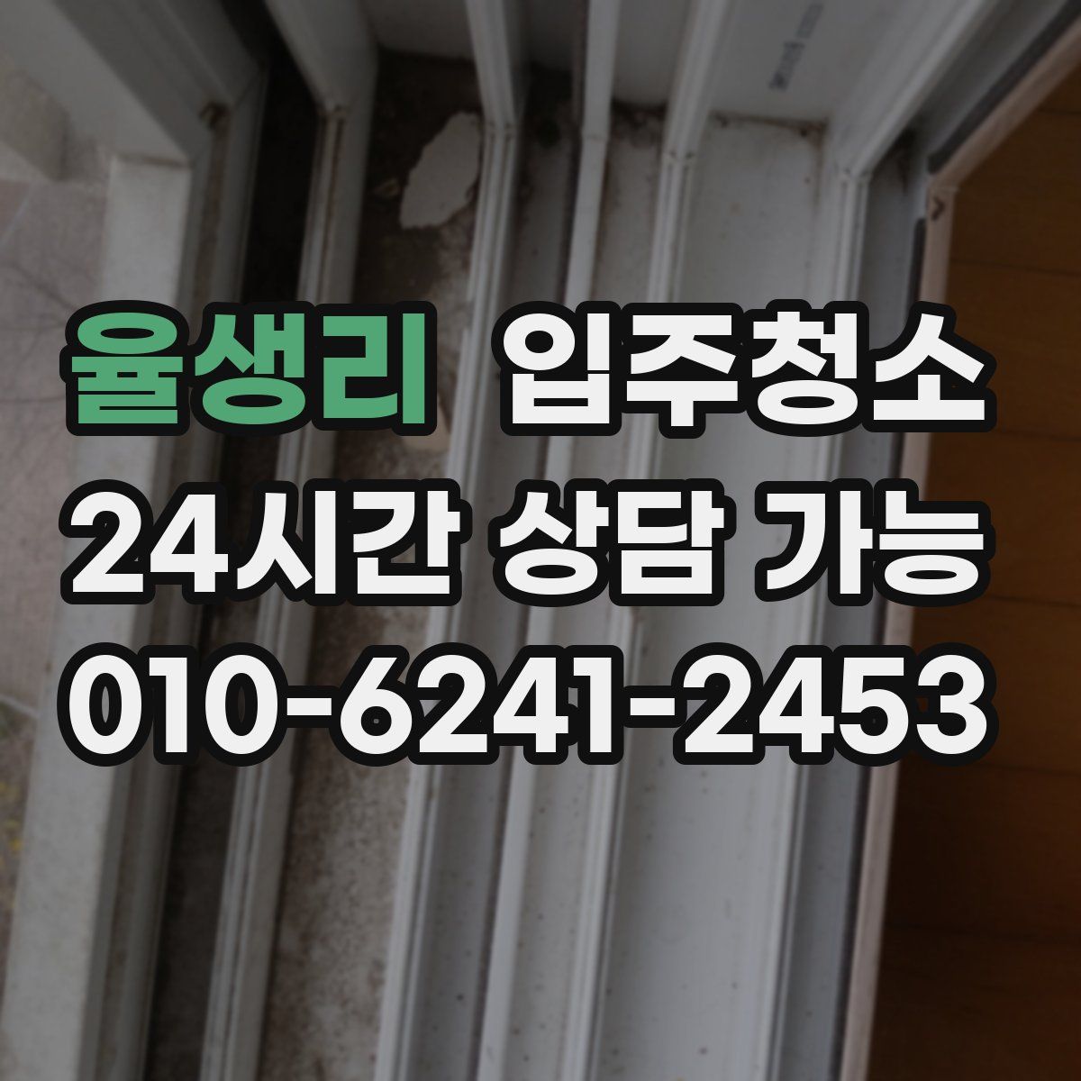 율생리 원룸청소