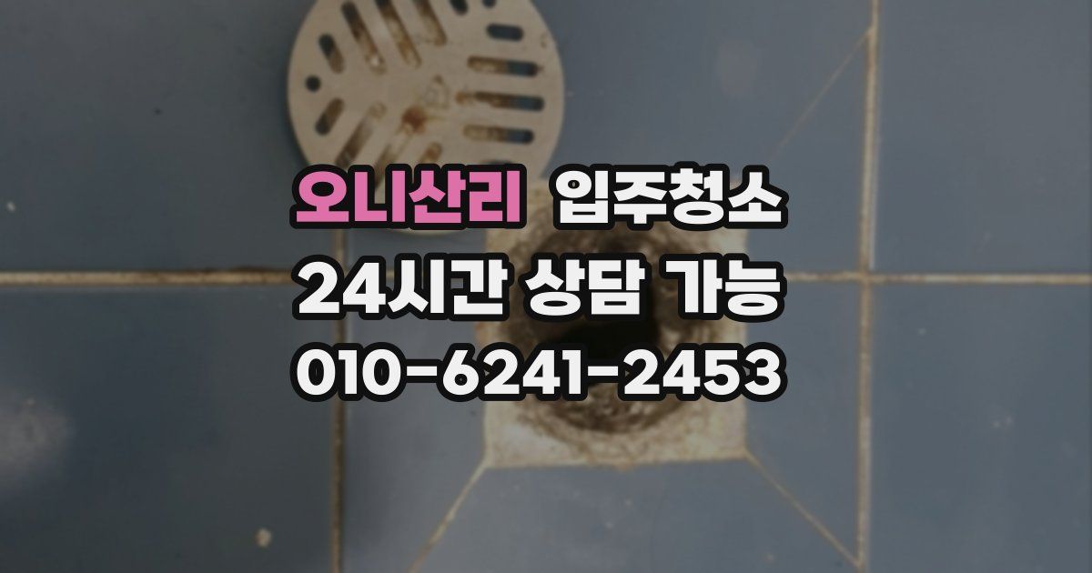 오니산리 입주청소