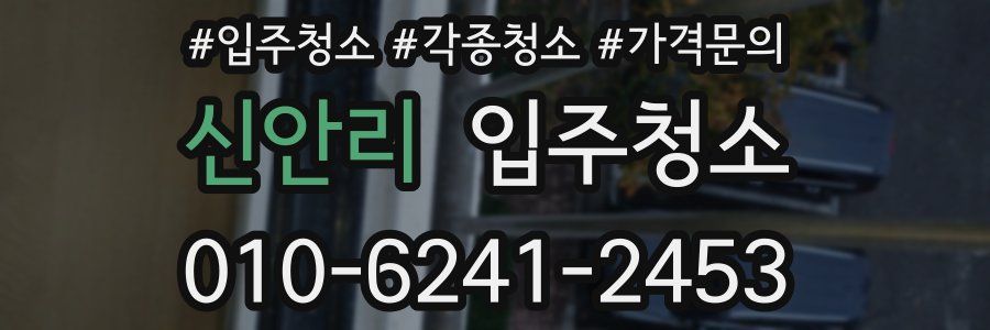 신안리 이사청소