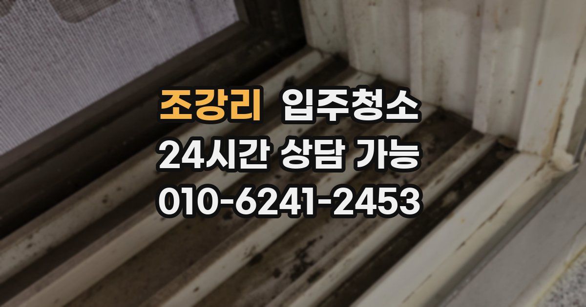 조강리 입주청소