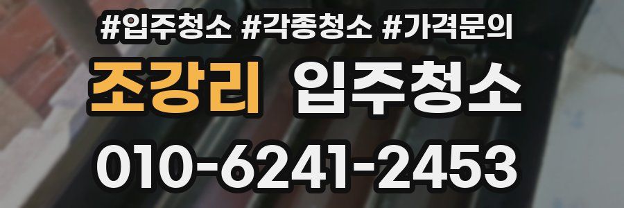 조강리 이사청소