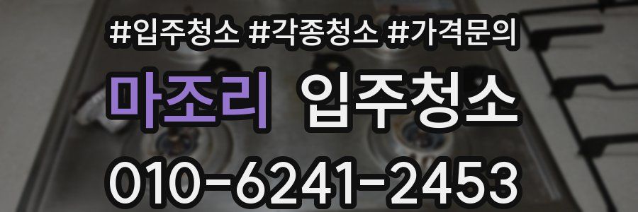 마조리 이사청소