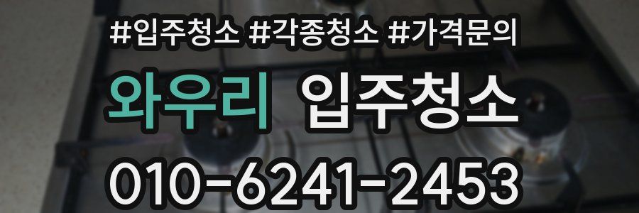 와우리 이사청소