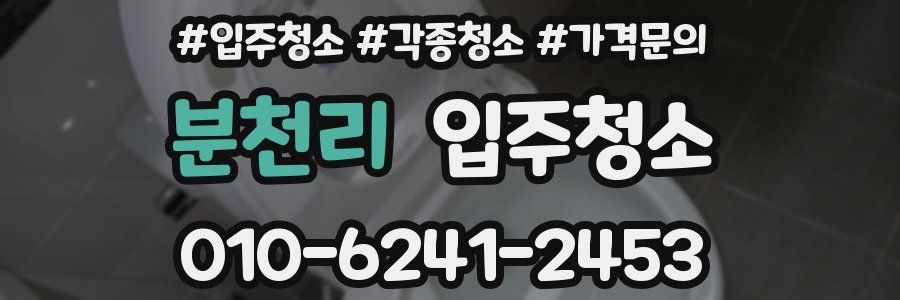 분천리 이사청소