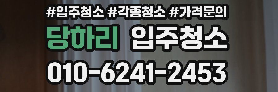 당하리 이사청소