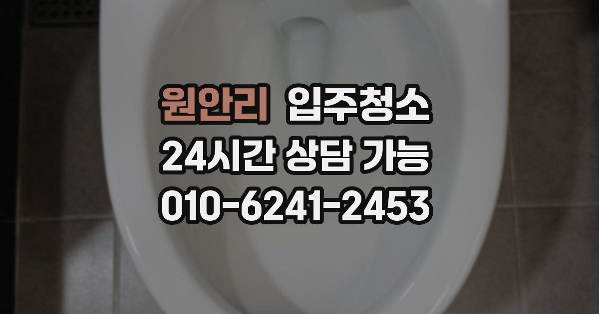 원안리 입주청소