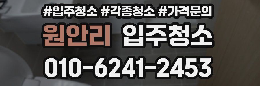 원안리 이사청소