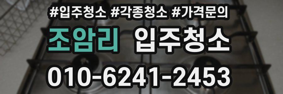 조암리 이사청소