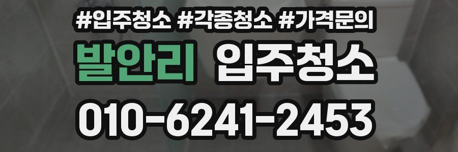 발안리 이사청소