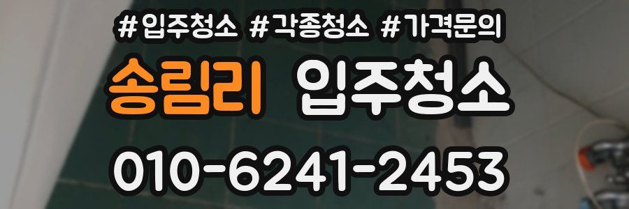 송림리 이사청소