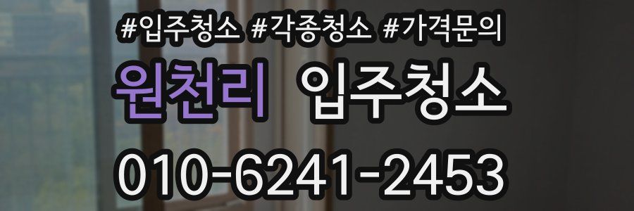 원천리 이사청소