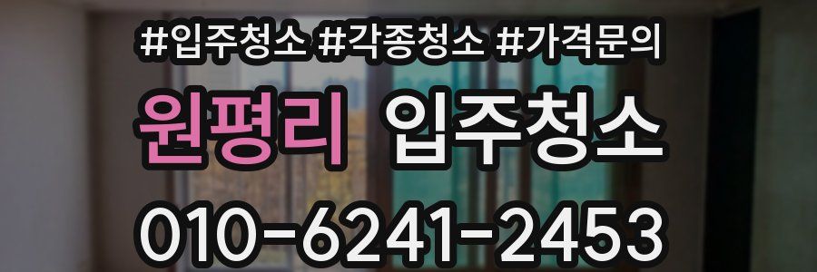 원평리 이사청소