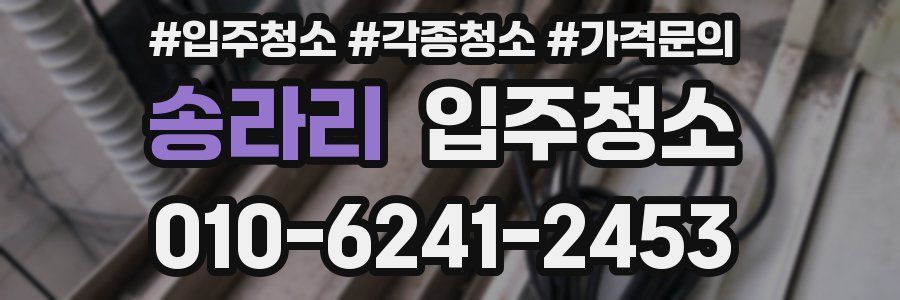 송라리 이사청소