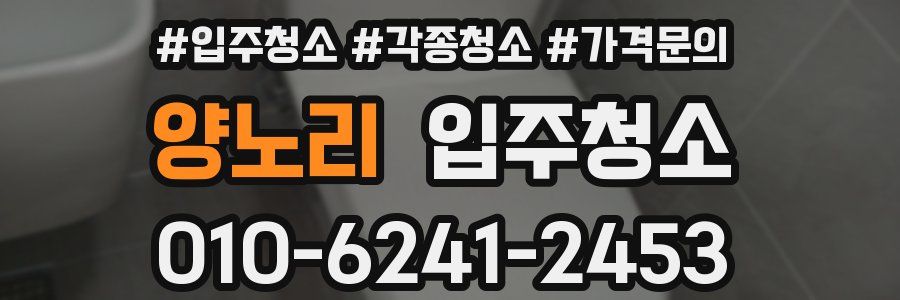 양노리 이사청소