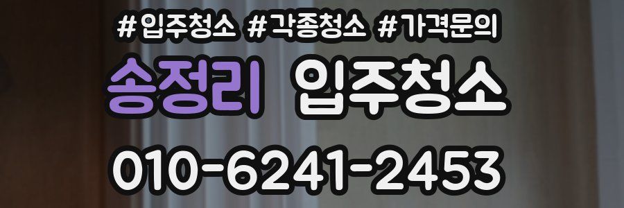 송정리 이사청소