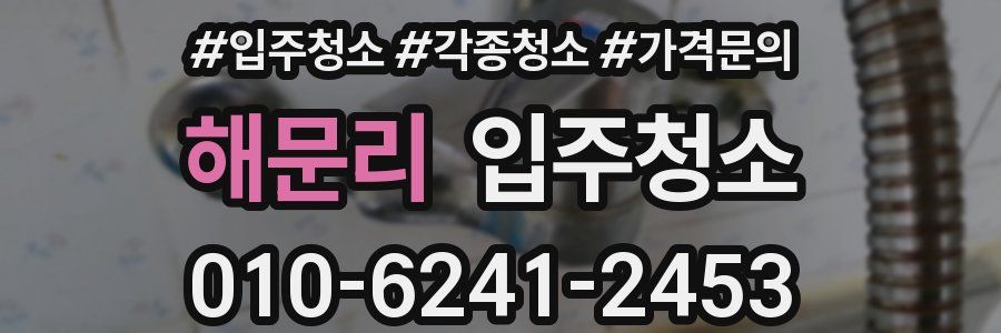 해문리 이사청소