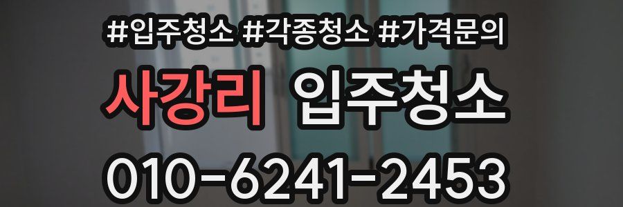 사강리 이사청소